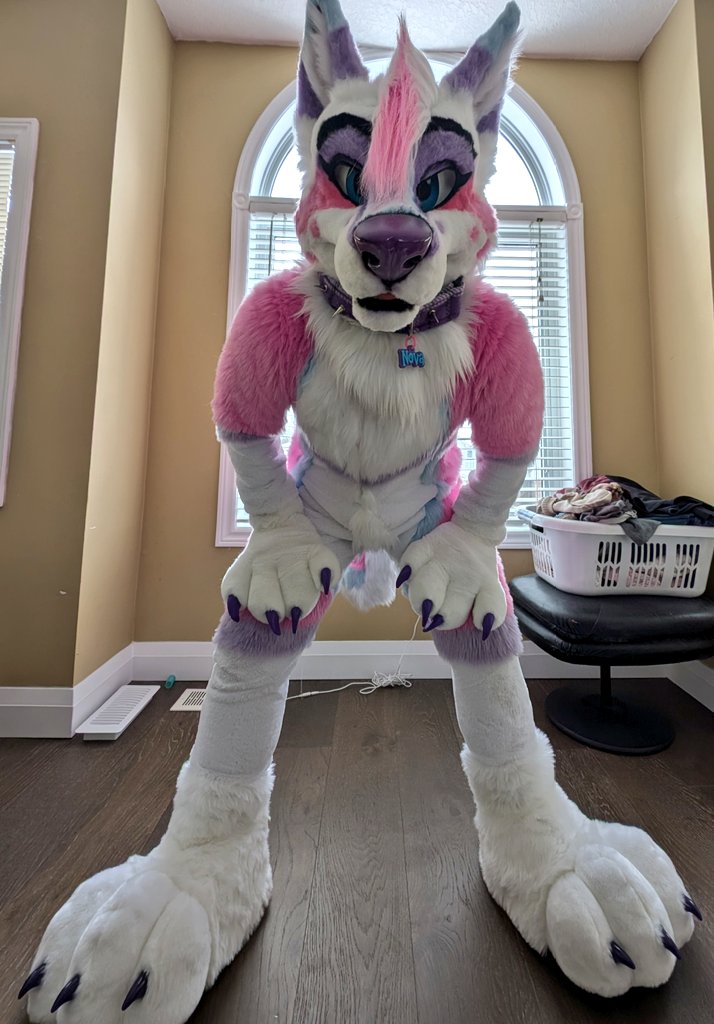 Nova 🌸 ➡️ FE tweet media