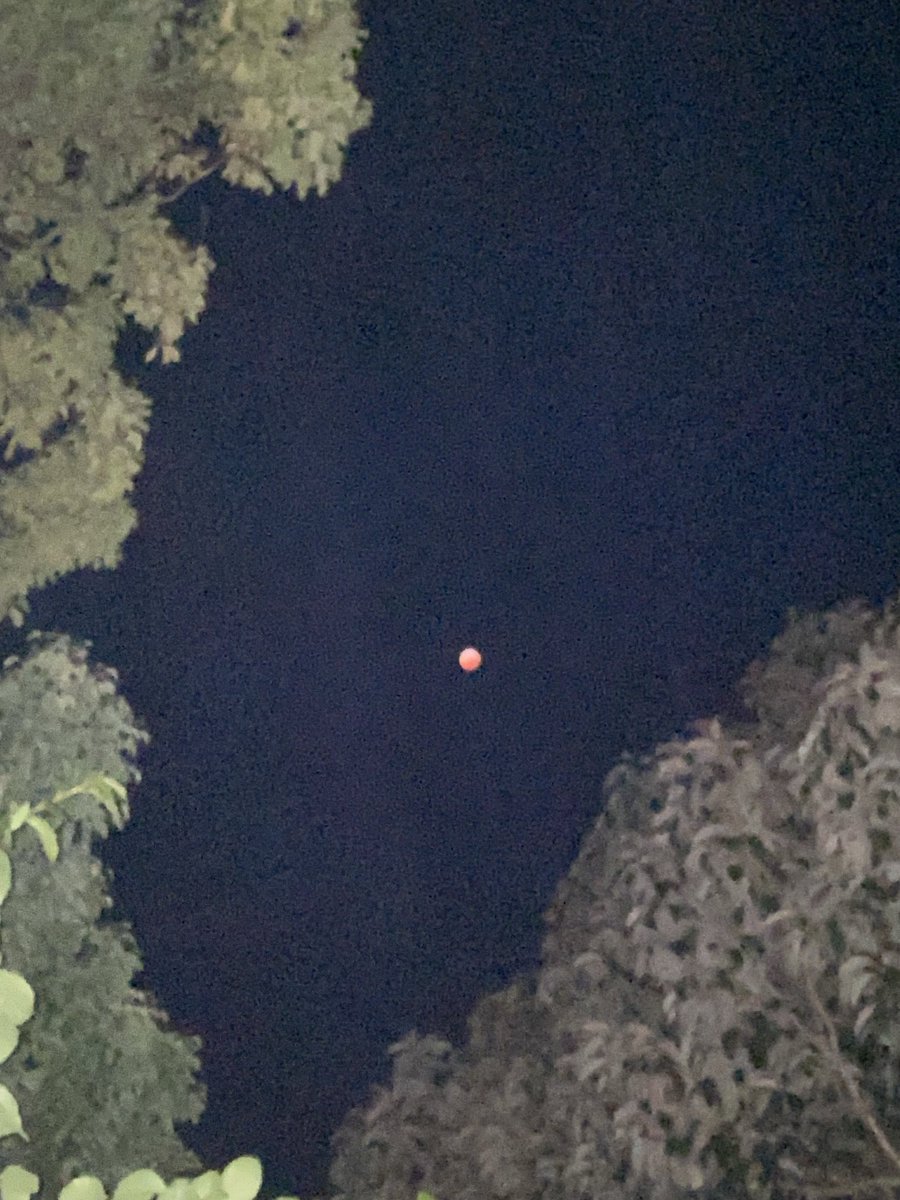 Well, that’s the best I can do with my phone. #eclipse