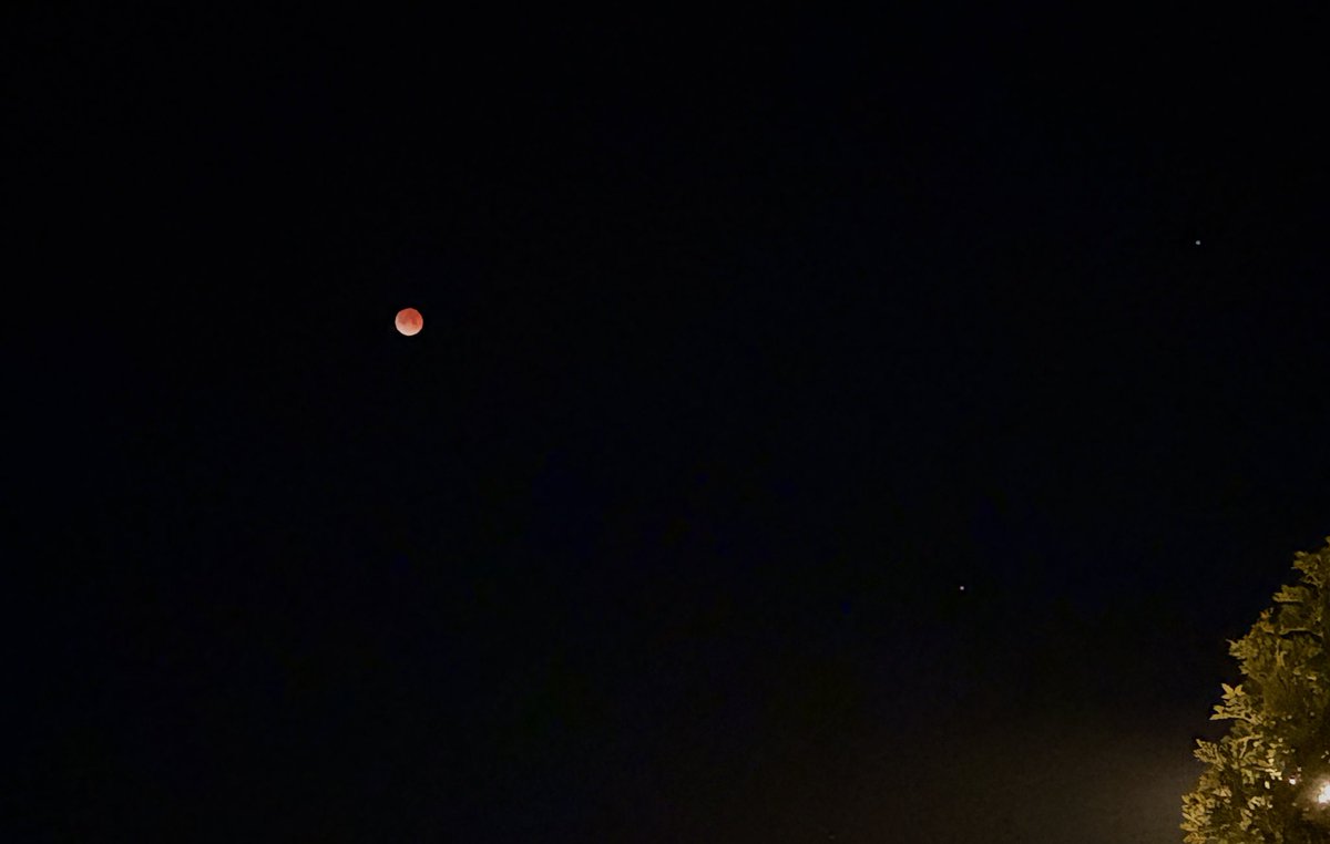 the conspiratorial 17 tweet media