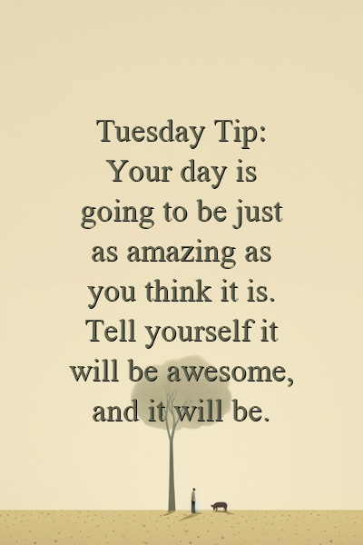 Ms. Warren BRACE Advisor tweet media