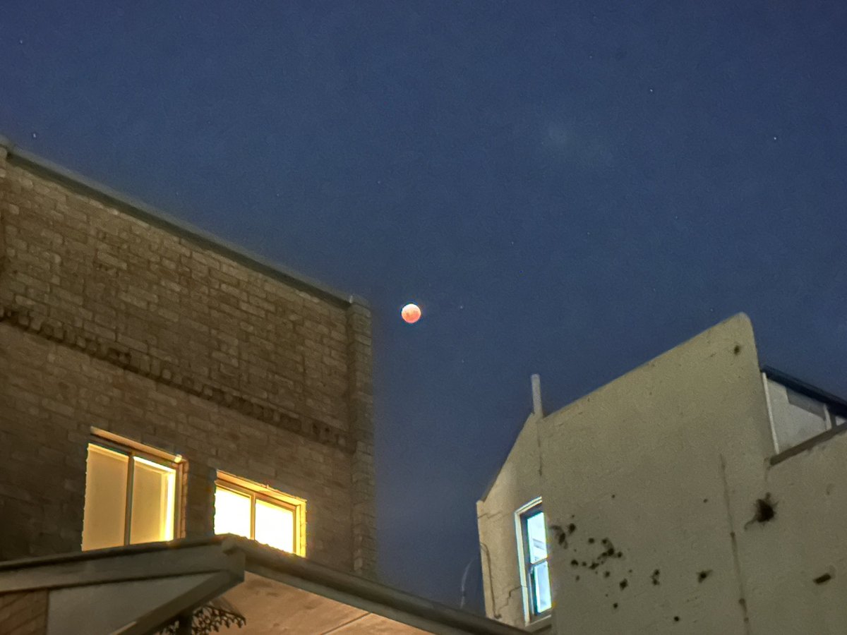 lachlan 🇵🇸 tweet media