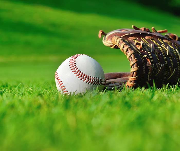 Baseball Manager tweet media