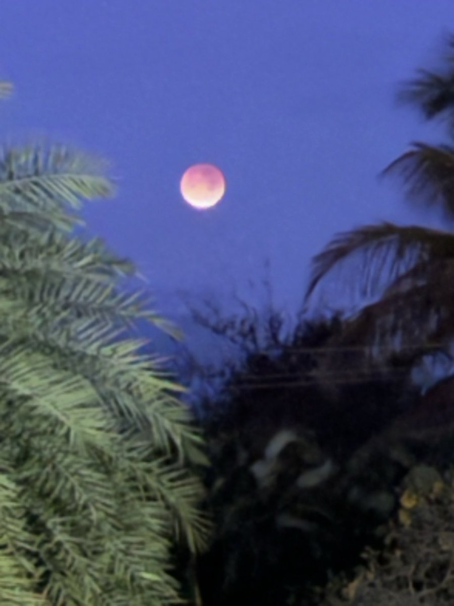 Discovery Elementary tweet media