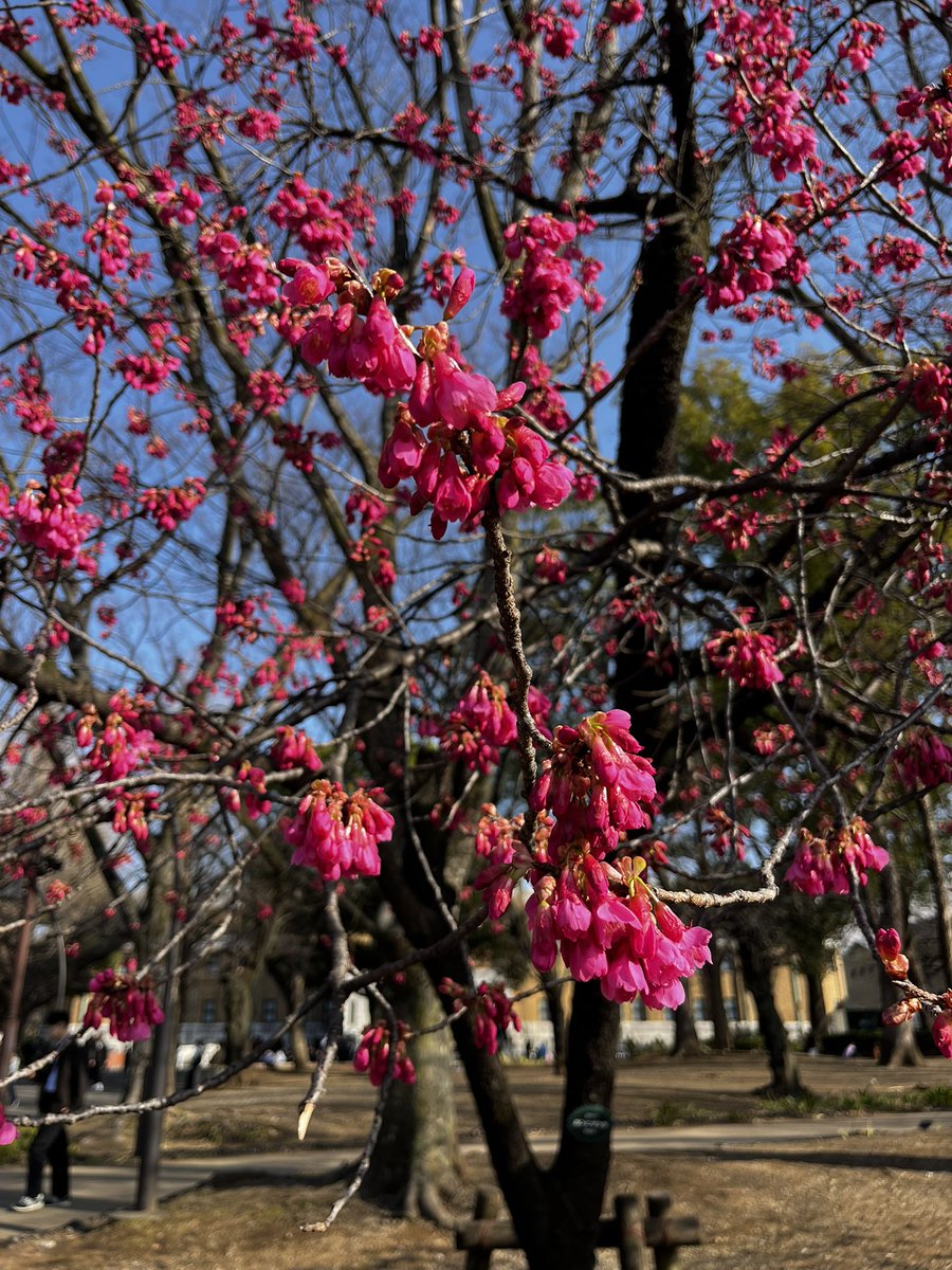 japantotheworld.com tweet media