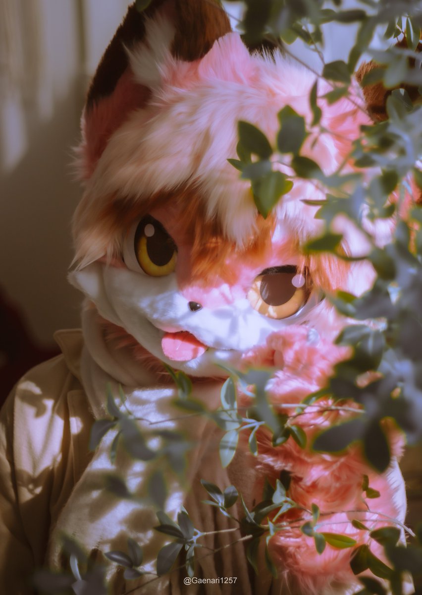 아슬로 | ASLO tweet media