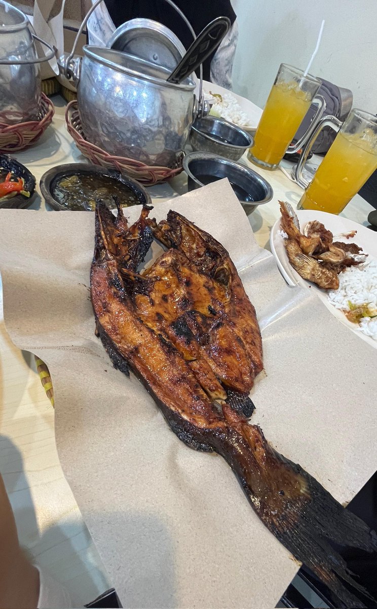 Ini ikan buat gampar orang asli auto pingsan 🙃