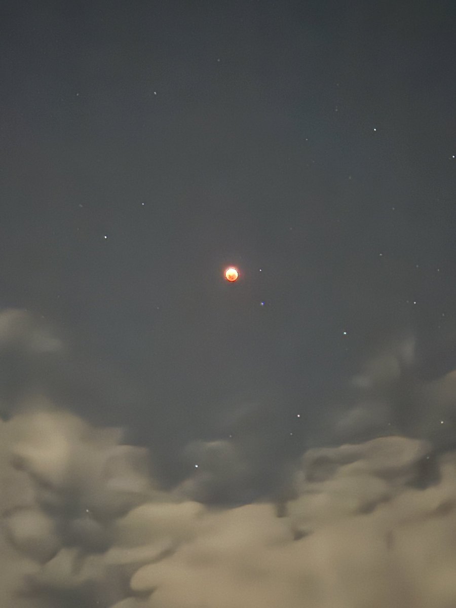 Duke of Suffolk tweet media