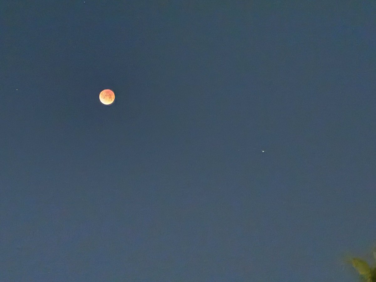 Domonique Isabeau tweet media