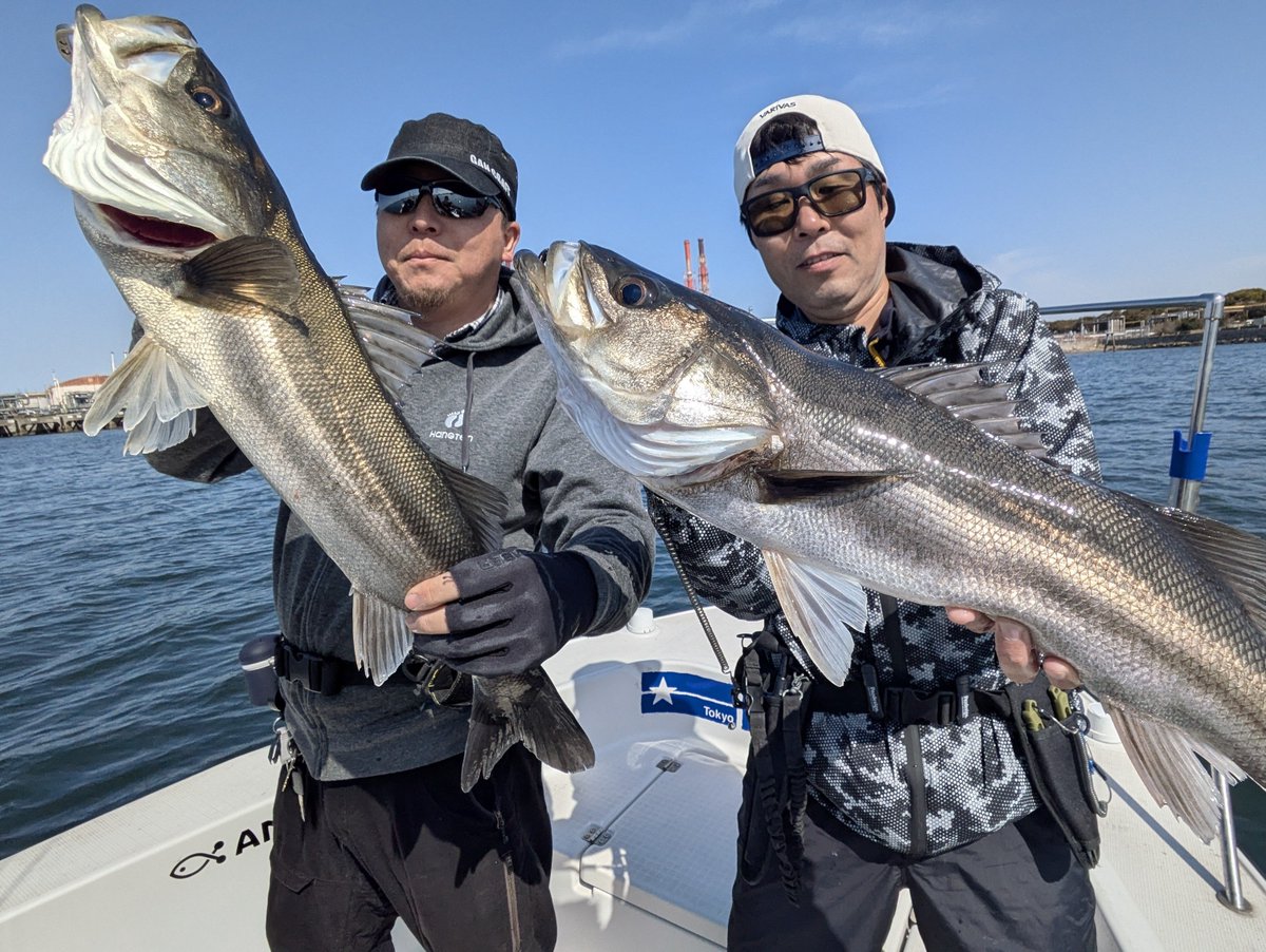 星 直希-Hoshi Naoki-🐟️ tweet media