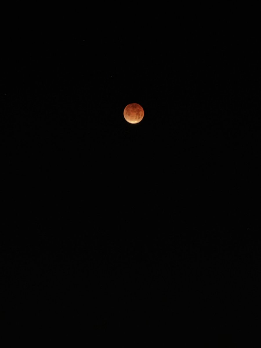 _SweetSunshine7's tweet photo. Let’s moon gaze 💜 https://t.co/hNDA9GpAkd