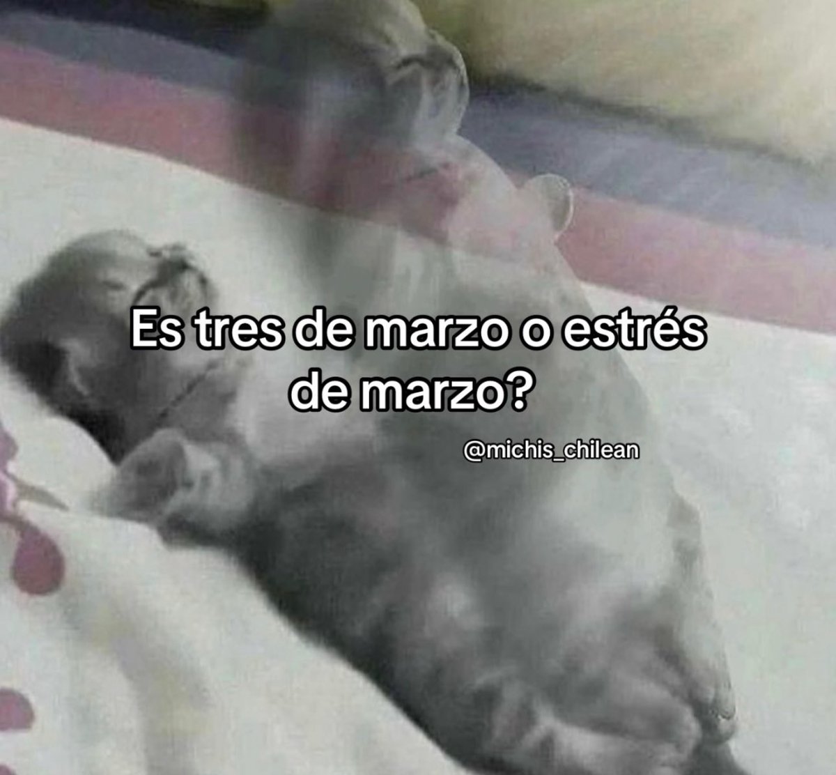 skereunpesado's tweet photo. https://t.co/998UyKc1ke