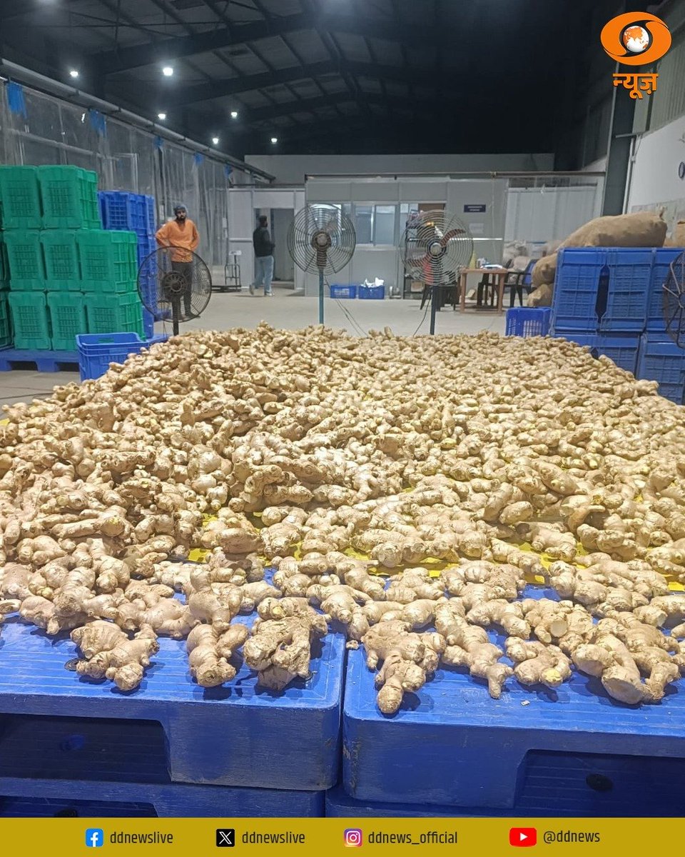 डीडी न्यूज़ tweet media