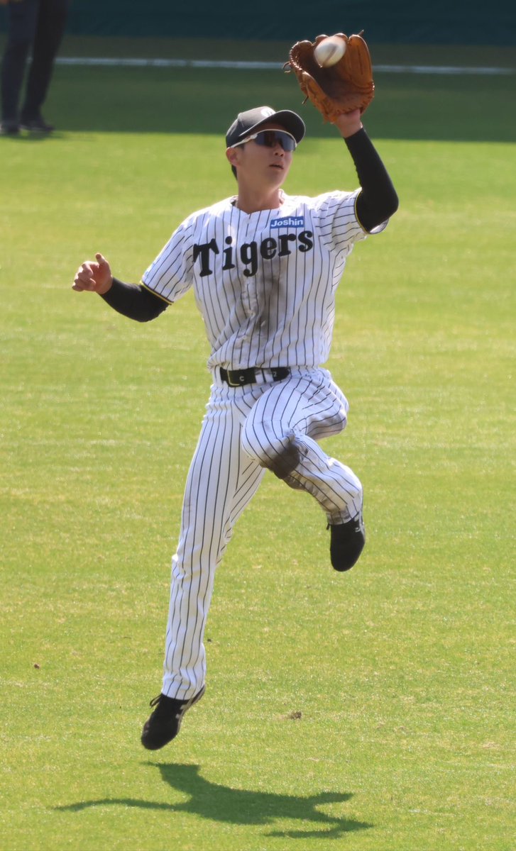 260301SGL🍃💕 #山田脩也