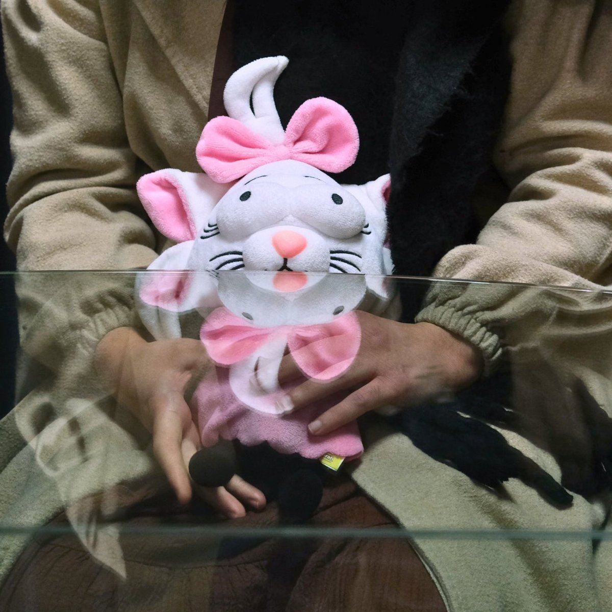 Bu sabah Zeytinburnu'nda 30 yaşında bir annenin ve 8 yaşındaki çocuğunun cansız bedeni bulunmuştu…Ve bu annenin sesini yıllarca kimse duymamış, en sonunda kızıyla birlikte intihar etmişler…Fatma Nur Çelik, Kurana Hizmet Vakfı sorumlusu Ayhan Şengüler'in yıllarca cinsel