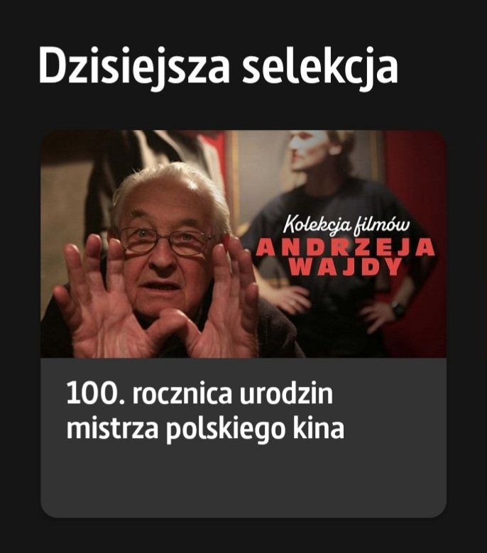 Justyna Wodzisławska 🐈🐕🐱🐶 tweet media