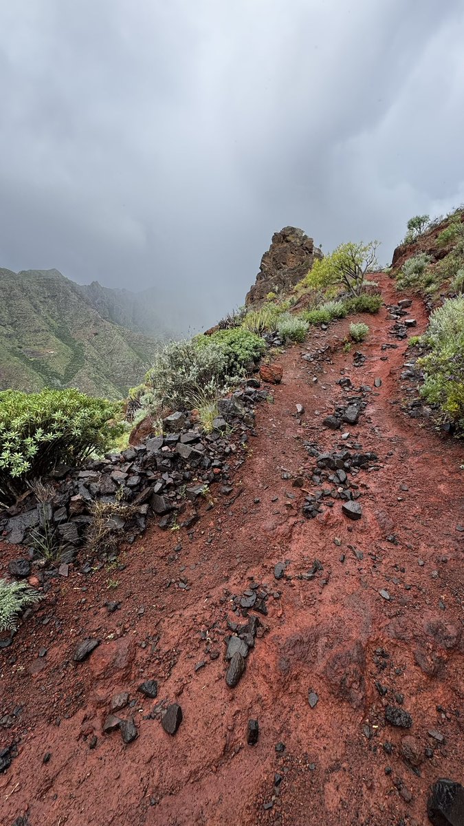 Paní učitelka tweet media