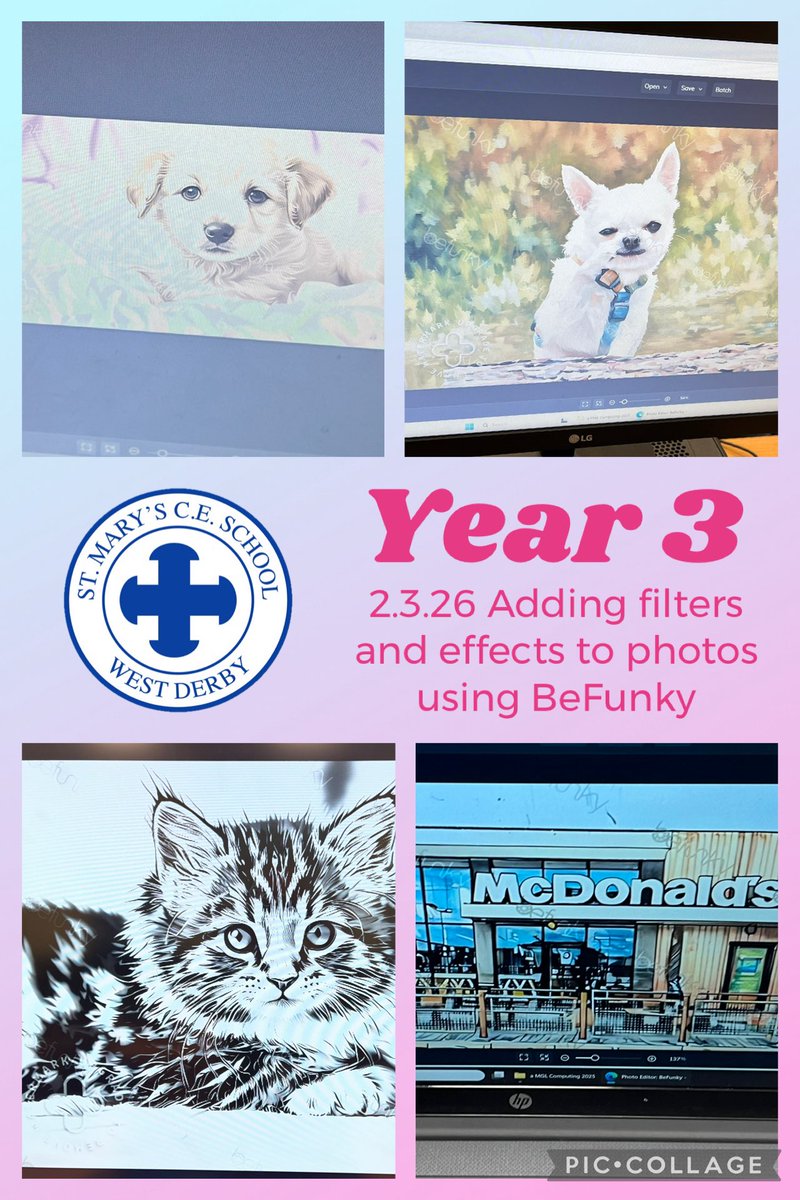 Melissa Shaw tweet media