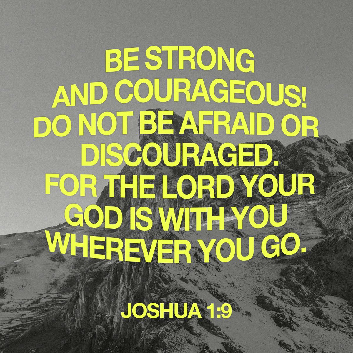 YouVersion Bible App tweet media