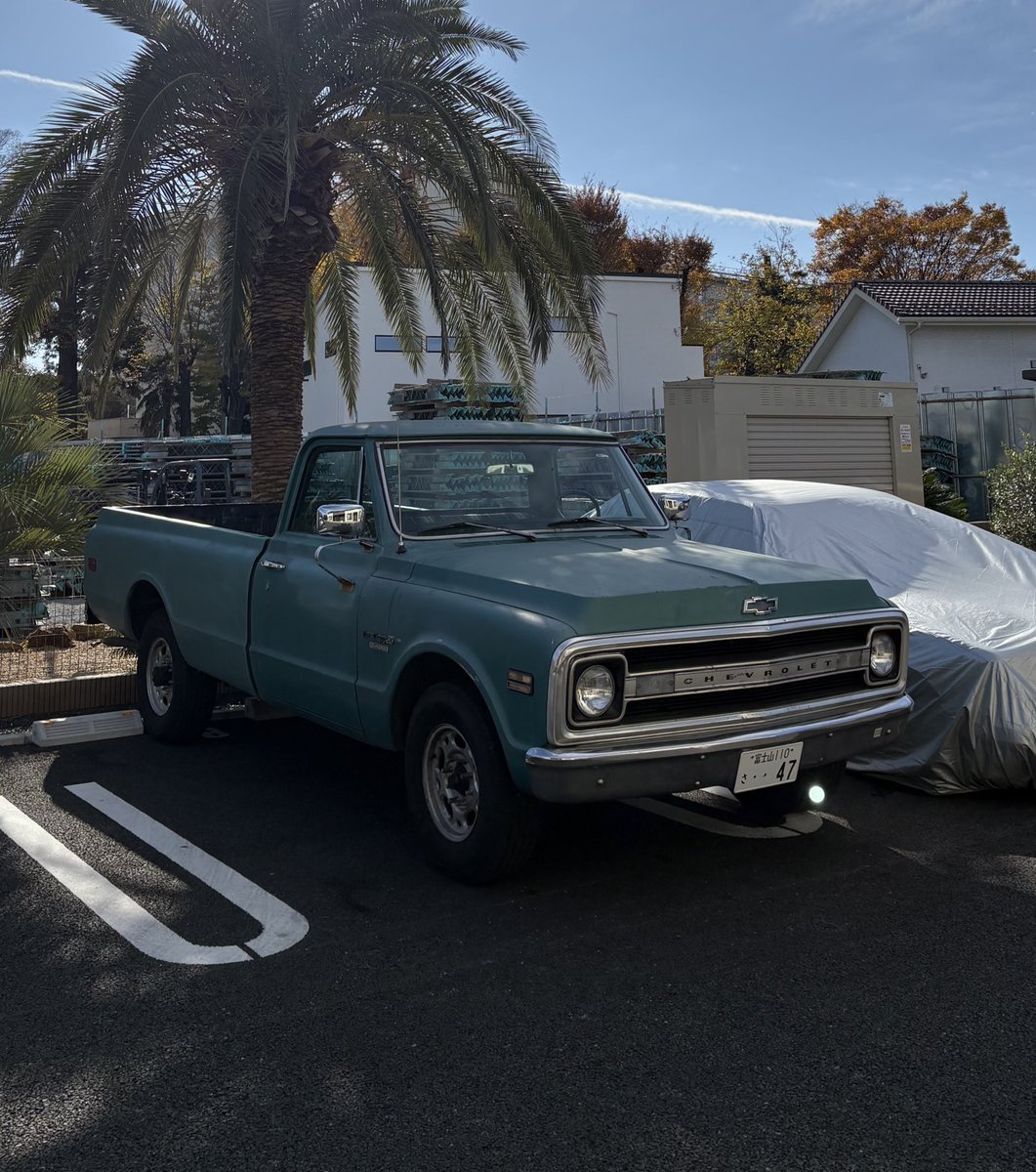 も ᯅ̈ tweet media