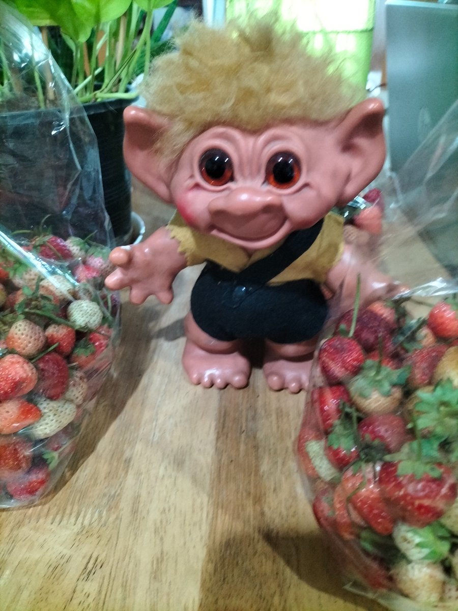 ChrisCsd1's tweet image. #Bangkok #Streetstall #Strawberries Fud was very interested in these bags of 🍓 strawberries we bought from a street stall. We get a lot of fruit &amp;amp; veg there. A great deal, each bag only 95p each, in UK currency!