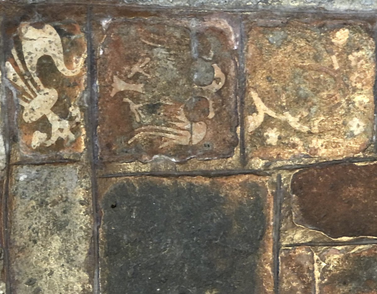 Rosemary Griggs tweet media