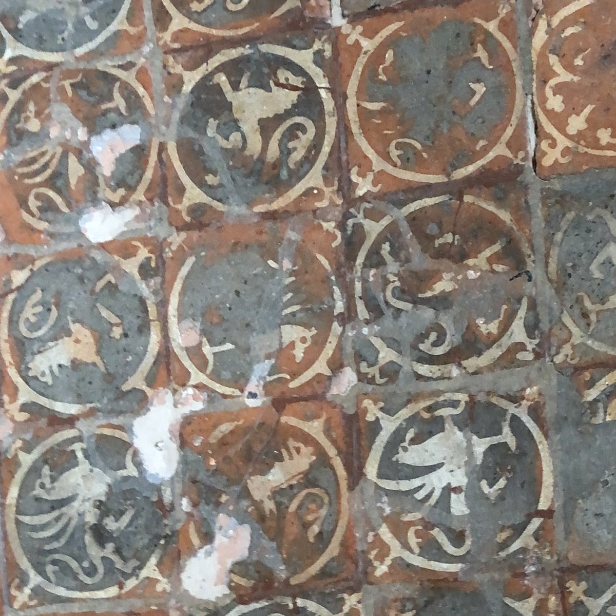 Rosemary Griggs tweet media