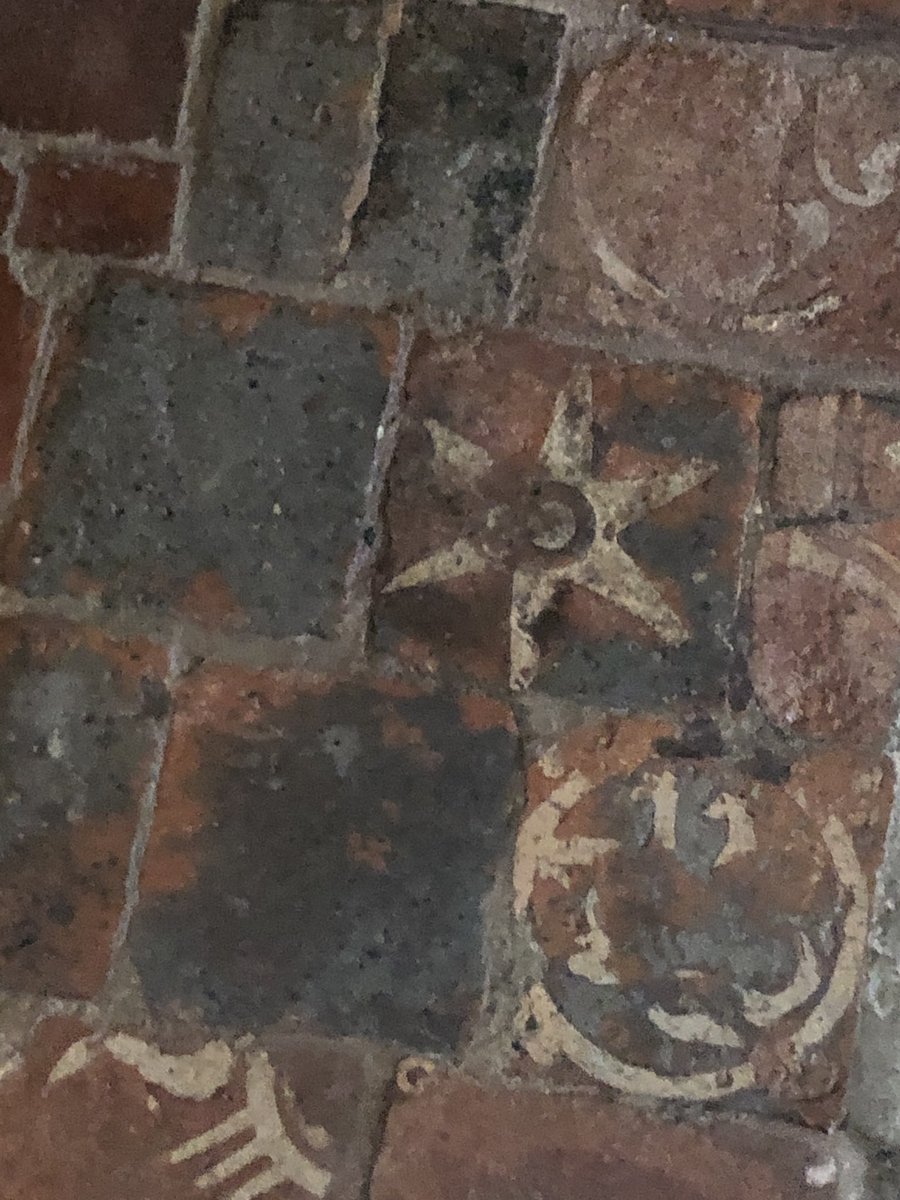 Rosemary Griggs tweet media