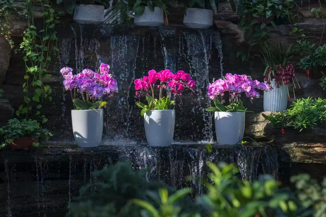 ThisisXiliinGol's tweet image. Celebrate #LanternFestival at Xiliinhot Botanical Garden and immerse yourself in a floral fiesta, where every step reveals a picturesque scene. Come capture the spring vitality! #VisitXiliinGol #SpringBloom 🎇🌷