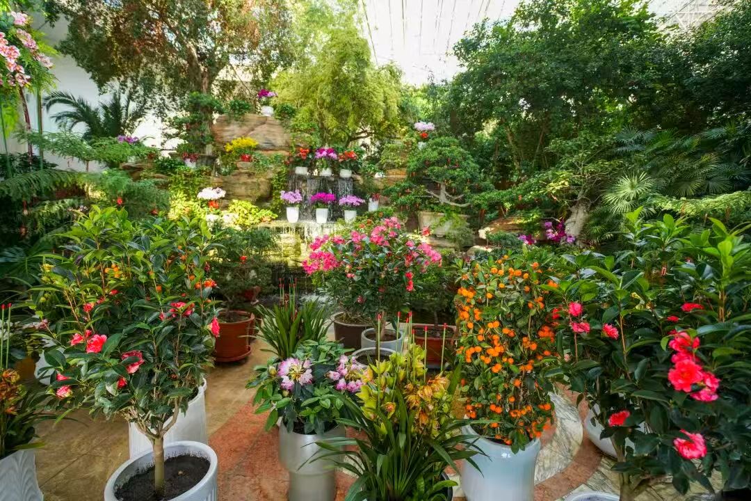 ThisisXiliinGol's tweet image. Celebrate #LanternFestival at Xiliinhot Botanical Garden and immerse yourself in a floral fiesta, where every step reveals a picturesque scene. Come capture the spring vitality! #VisitXiliinGol #SpringBloom 🎇🌷