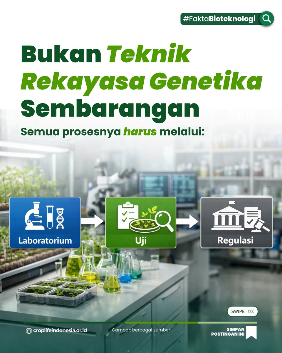 CropLifeIndo's tweet photo. Teknik Rekayasa Genetika (GE) itu apa sih sebenarnya?

#biotech #Bioteknologi #facts #Geneediting #PertanianModern #pertanian #Agriculture https://t.co/tnaXOL8r1S