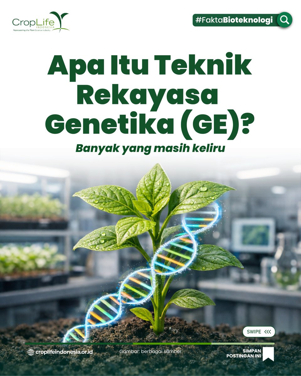 CropLifeIndo's tweet photo. Teknik Rekayasa Genetika (GE) itu apa sih sebenarnya?

#biotech #Bioteknologi #facts #Geneediting #PertanianModern #pertanian #Agriculture https://t.co/tnaXOL8r1S
