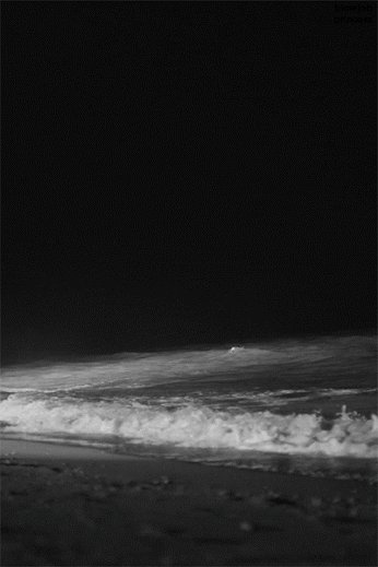 TIgnota's tweet photo. Fréquenter la nuit et la mer comme d'autres aiment les bars. https://t.co/HaQp1My3QZ