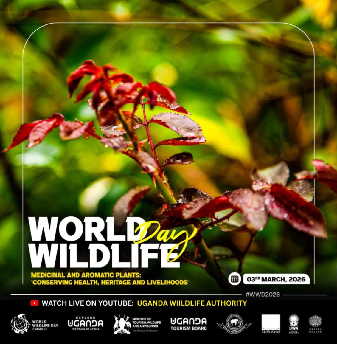tamalec070's tweet image. Happy Wildlife day nature lovers 
#UWA