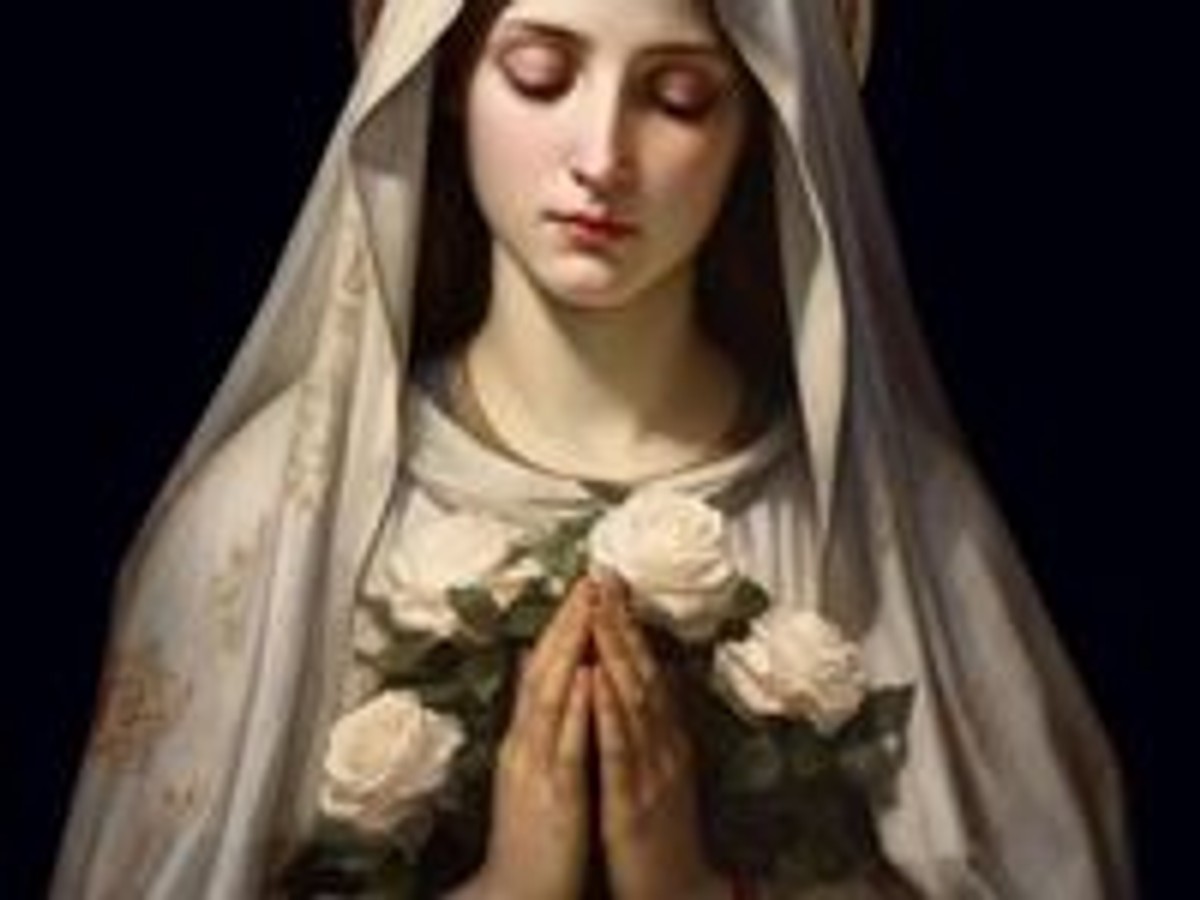 slow.jpg tweet media