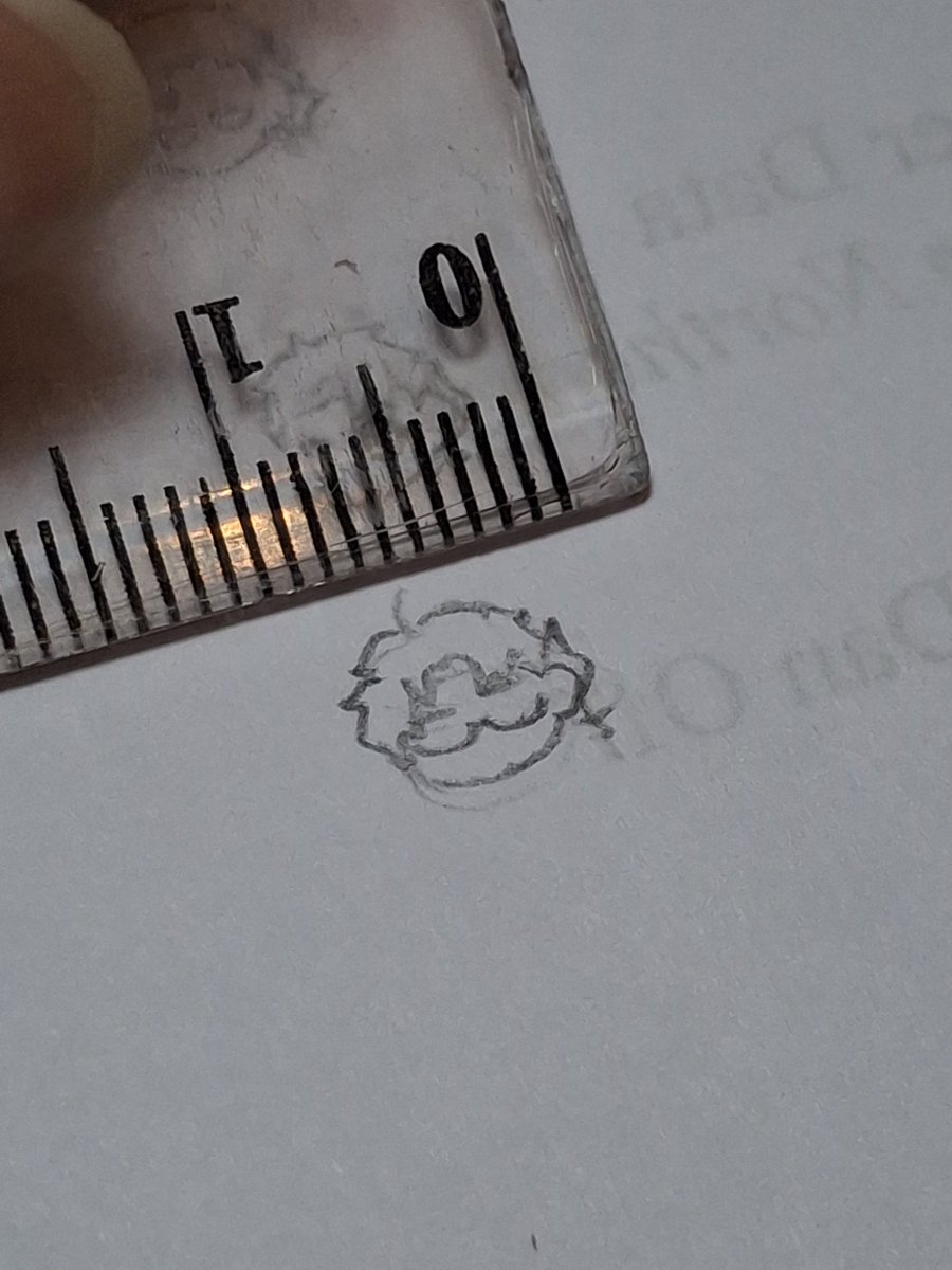 𝑻𝒊𝒕𝒊 tweet media