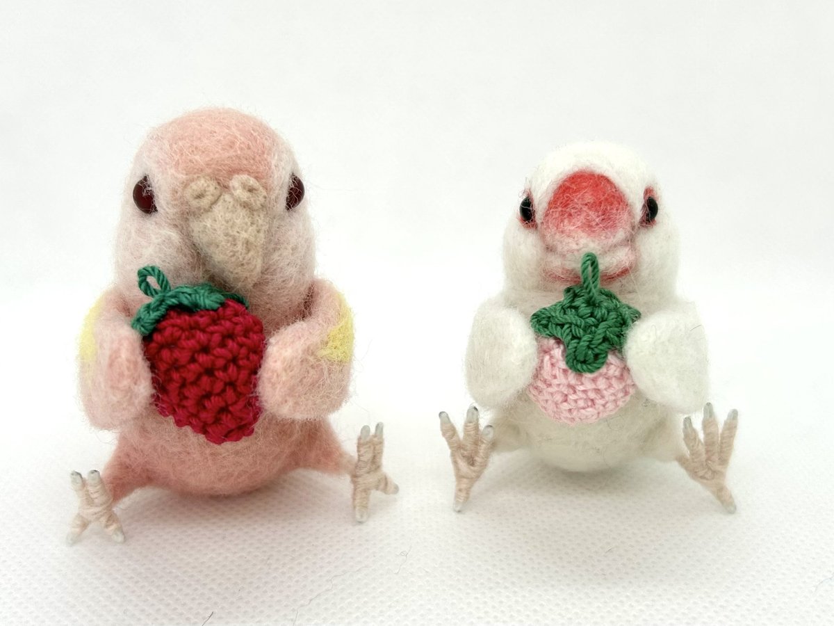 おすわりちゃん① ピンクで淡くてかわいい子たち🩷 #文鳥