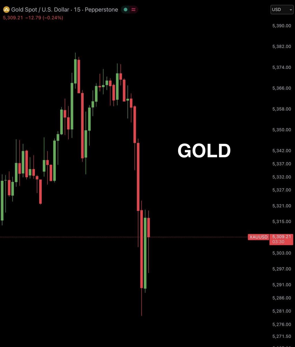 Bull Theory tweet media