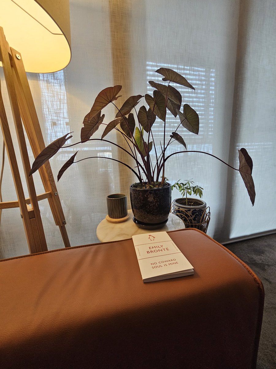 Birthday Month Has Begun! 

Thank you for setting my soul alight, Mr. T. 
Every alt-girl needs a black indoor plant to sit next to her while she's lost in a book of poetry (and yearning, no doubt).