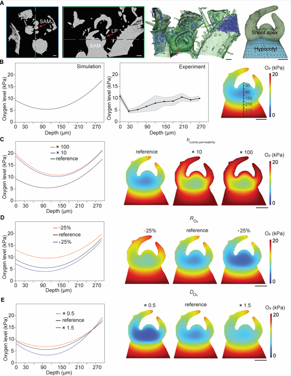 Molecular Plant & Plant Communications tweet media