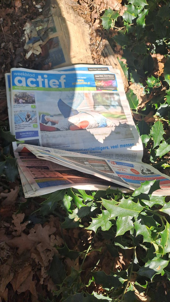 missinfinity018's tweet photo. @actiefmedia in Gytsjerk op de Singel ,ter hoogte van het boske,liggen tussen de omgezaagde bomen en struiken eem hele stapel gedumpte en niet bezorgde actiefs https://t.co/ls3oic86Um