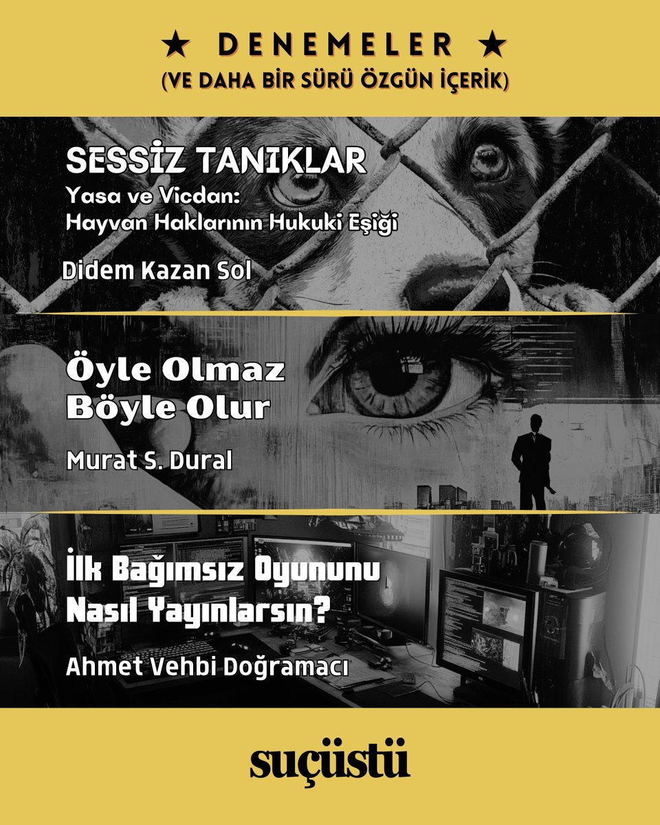 SUÇÜSTÜ tweet media