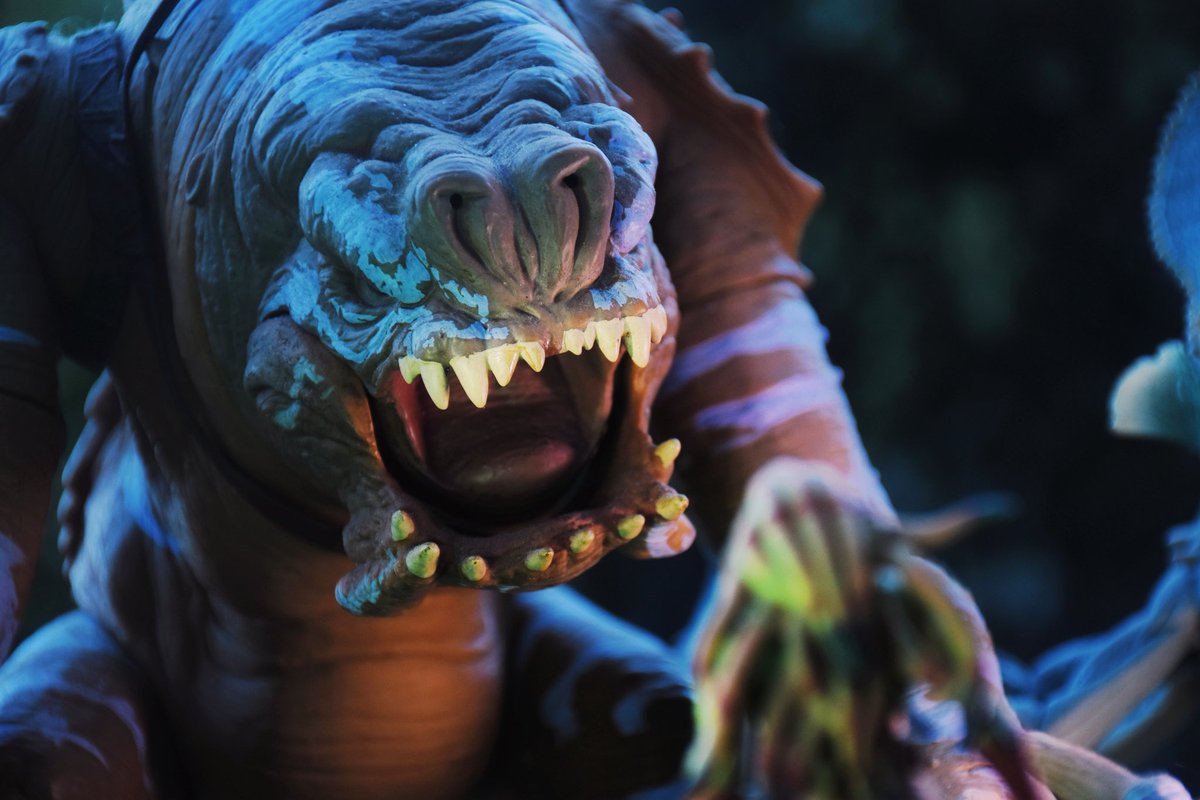 Read Five Designs tweet media