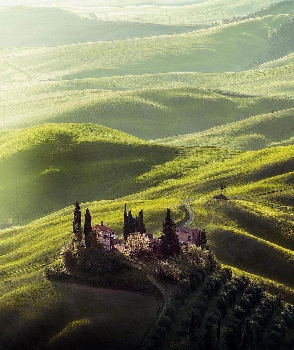 David Huang tweet media