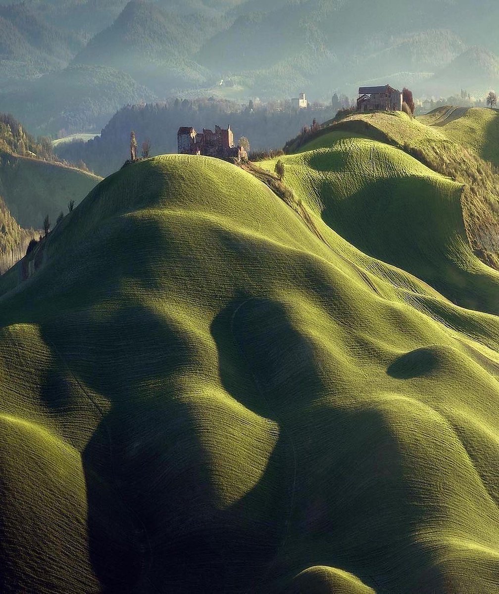 David Huang tweet media