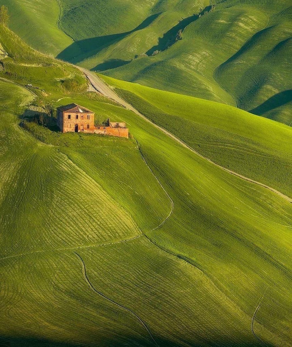 David Huang tweet media