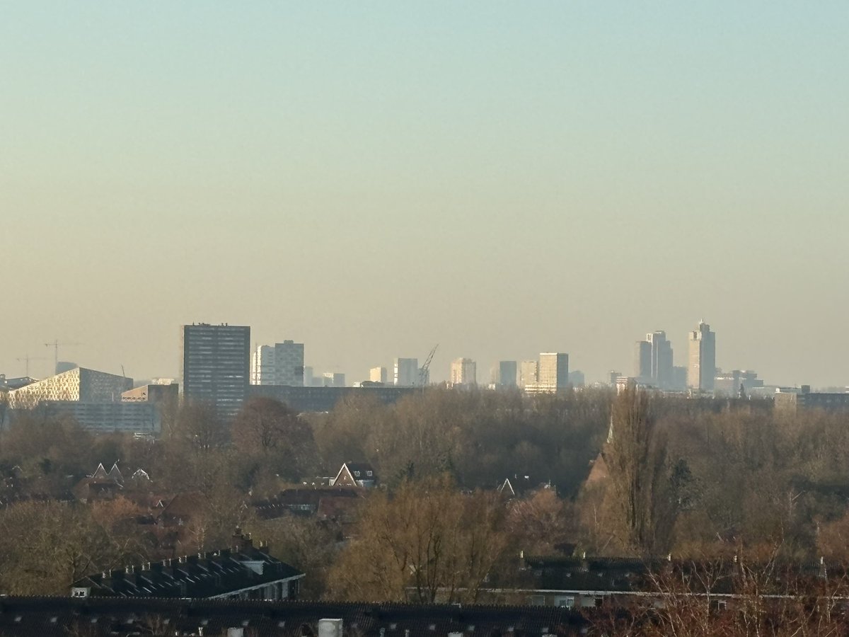 Maureen de Jong tweet media