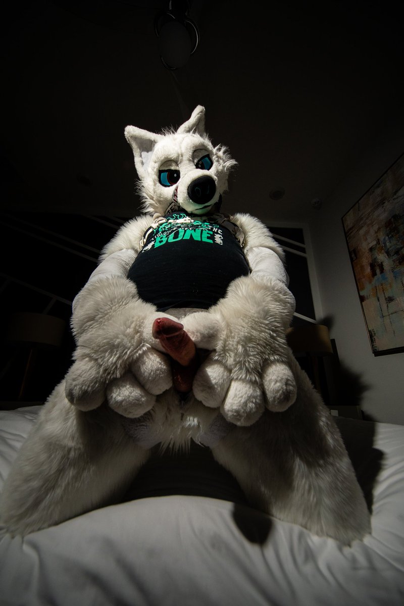 Pole🔜 In you tweet media