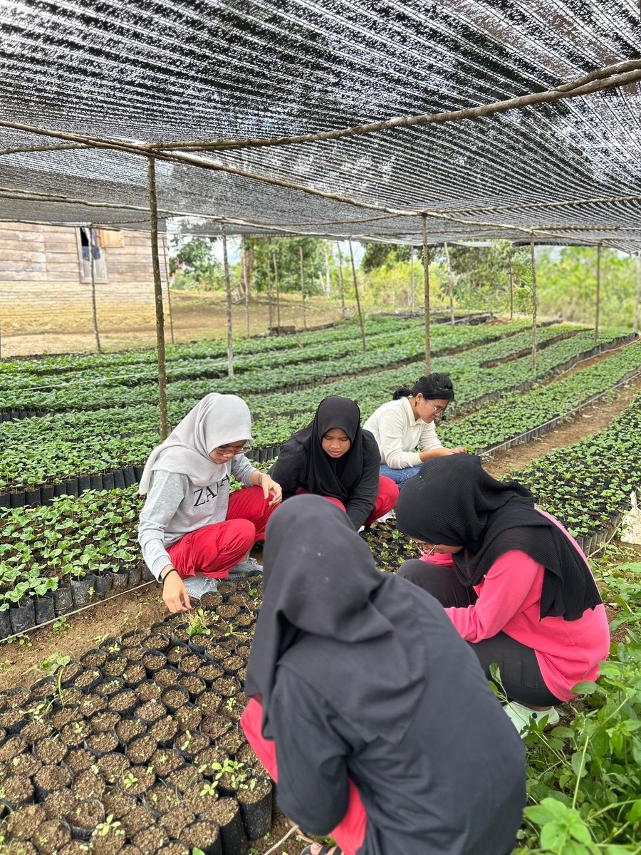 Pebriyansah tweet media