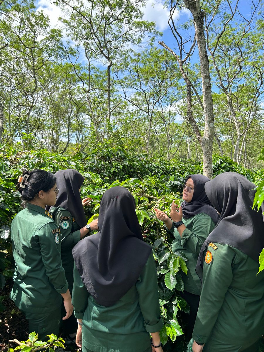 Pebriyansah tweet media