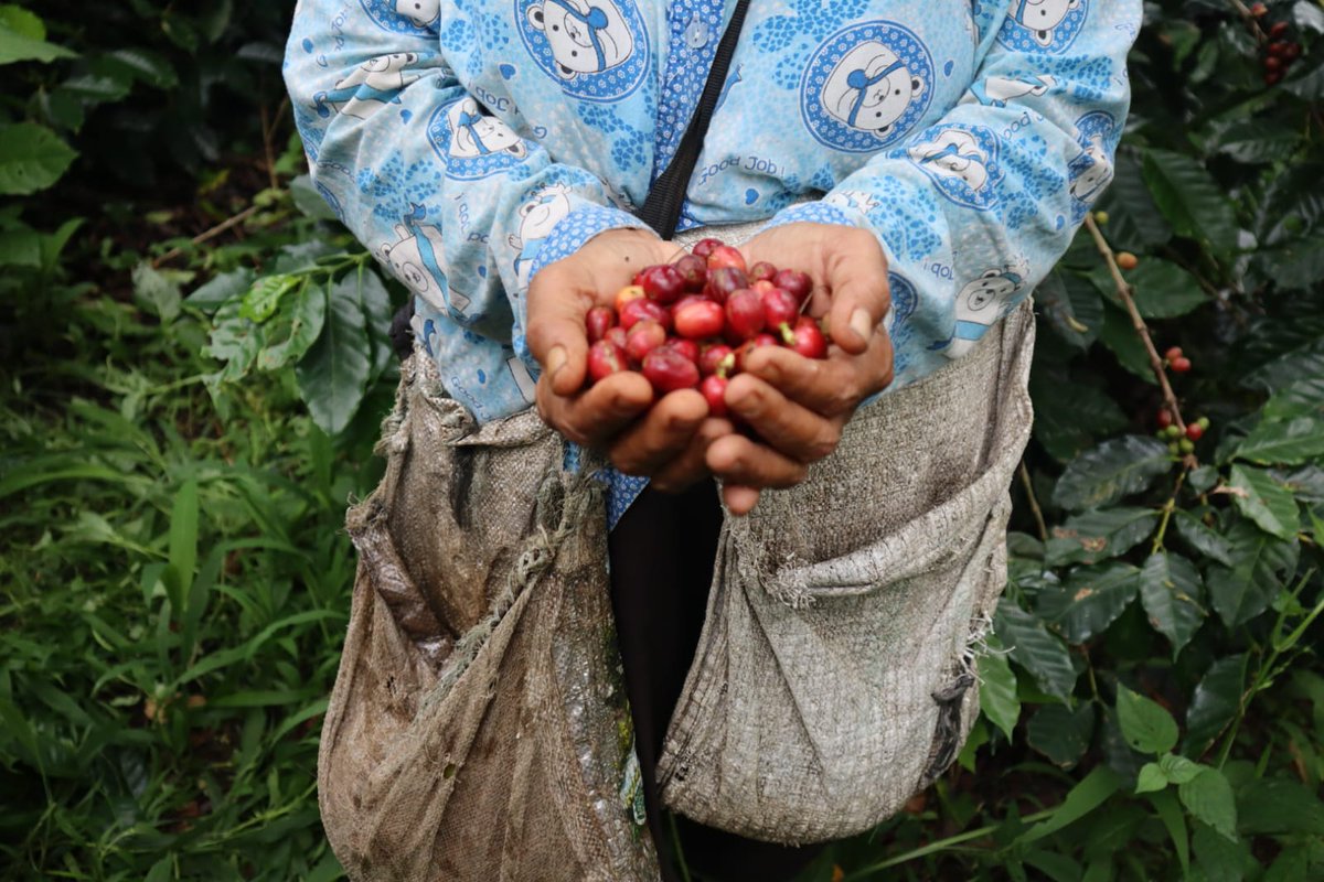 Pebriyansah tweet media